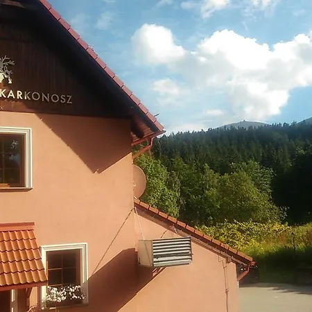 Karkonosz - I Pokoje Linowa 1b * كارباش